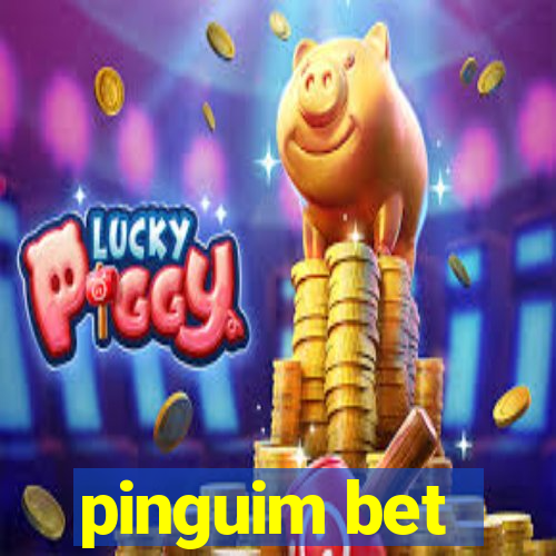 pinguim bet